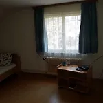 Penzion Antico Mulino Garni 3*