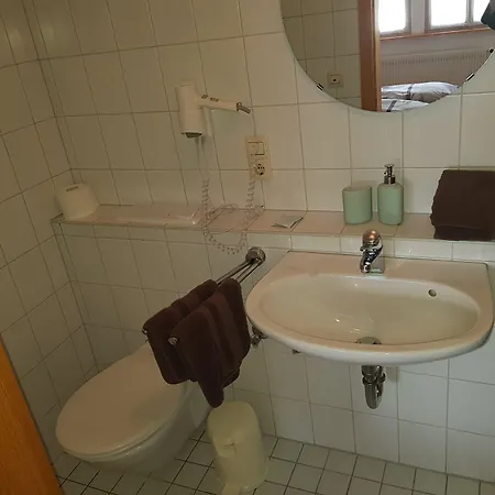 בית הארחה Antico Mulino טודמוס